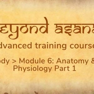 Anatomy & Physiology Part 1