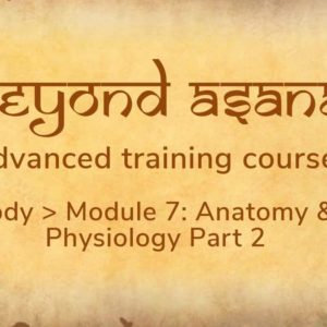 Anatomy & Physiology Part 2